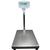 Adam Equipment GFK-165aH Floor Check Weighing Scales, 165 x 0.002 lb Adam Equipment GFK-165aH