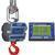 Intercomp CS3000 100685-RFX Crane Scale w/S1 Swivel & Eyehook & Wireless Indicator, 30,000 x 10lb Intercomp CS3000 100685-R