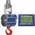 Intercomp CS3000 100686-RFX Crane Scale w/S1 Swivel & Eyehook & Wireless Indicator, 50,000 x 10lb Intercomp CS3000 100686-R