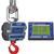 Intercomp CS3000 100687-RFX Crane Scale w/S1 Swivel & Eyehook & Wireless Indicator, 70,000 x 20lb Intercomp CS3000 100687-R