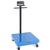 Doran DCS5250 Legal For Trade 24 x 24 Curbside Baggage Scale 250 x 0.05 lb Doran DCS5250 Legal For T