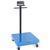 Doran DCS51000 Legal For Trade 24 x 24 Curbside Baggage Scale 1000 x 0.2 lb Doran DCS51000 Legal For