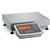 Minebea MW2S1U-3DC-L Midrics Complete Bench 12.5 x 9.5 Stainless Steel Scales, 6 x 0.0005 lb Minebea MW2S1U-3DC-L Midr