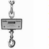Chatillon DWT-02000 Digital Crane Scale, 2000 lb x 1 lb