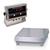 Rice Lake IQ plus® 2100 63049 Legal for Trade 12 x 12 inch Bench Scale with Tilt Stand 100 lb x 0.02 Rice Lake IQ plus® 2100 6